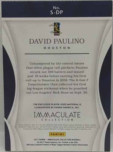 DAVID PAULINO 2017 Panini Immaculate Jersey BUTTON PATCH Blue SP #02/10 Astros