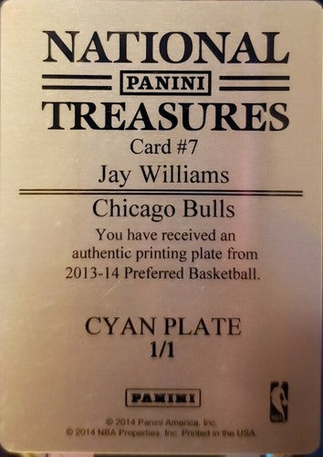 JAY WILLIAMS 2013-14 National Treasures PRINTING PLATE SP #1/1 of 1 Jason Bulls