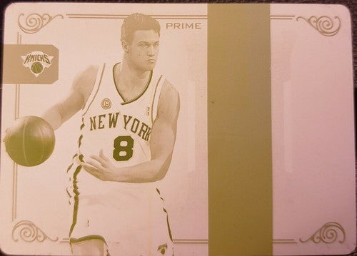 DANILO GALLINARI 2009-10 National Treasures NBA Logoman PRINTING PLATE #1/1 of 1
