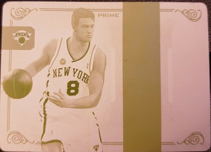 DANILO GALLINARI 2009-10 National Treasures NBA Logoman PRINTING PLATE #1/1 of 1