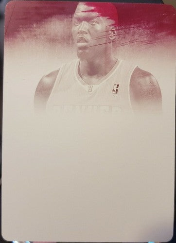 JULYAN STONE 2013-14 Immaculate Inscriptions PRINTING PLATE SP #1/1 of 1 Raptors