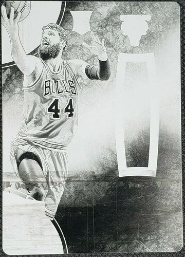 NIKOLA MIROTIC 2014-15 Panini Eminence RC PRINTING PLATE SP #1/1 Bulls Pelicans