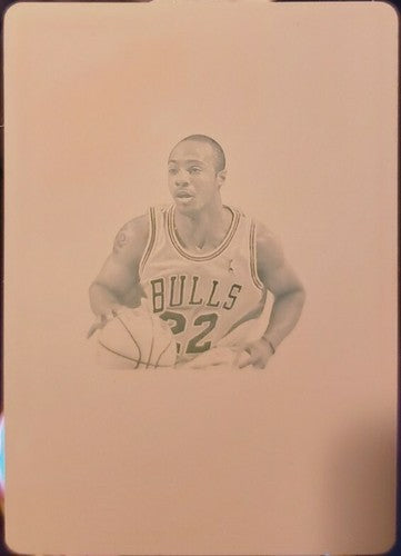 JAY WILLIAMS 2013-14 National Treasures PRINTING PLATE SP #1/1 of 1 Jason Bulls