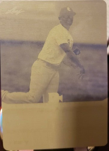 MICHAEL RIVERA 2013 Leaf Perfect Game Rookie PRINTING PLATE SP #1/1 of 1 USA RC