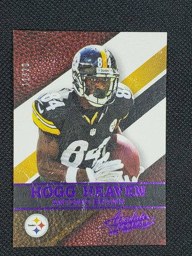 ANTONIO BROWN 2014 Panini Absolute Hogg Heaven Purple SP /20 Steelers Buccaneers