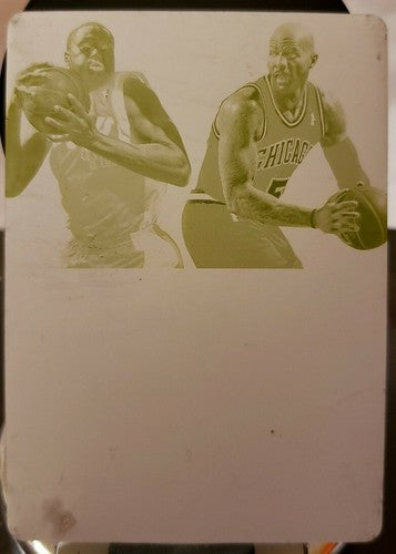 Carlos BOOZER Elton BRAND 2012-13 Panini Dual Jersey PRINTING PLATE SP #1/1 of 1