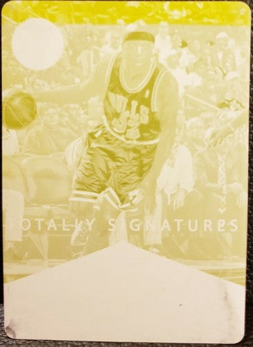 RICHARD HAMILTON 2012-13 Panini Totally Certified PRINTING PLATE #1/1 Bulls Rip