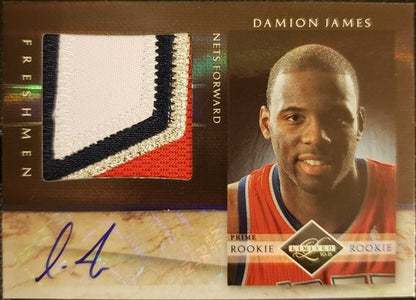 DAMION JAMES 2010-11 Panini Limited JUMBO Prime Signatures AUTO PATCH #/10 Nets