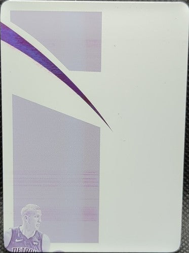 MASON PLUMLEE 2020-21 Panini Immaculate Jumbo PRINTING PLATE 1/1 Pistons Hornets