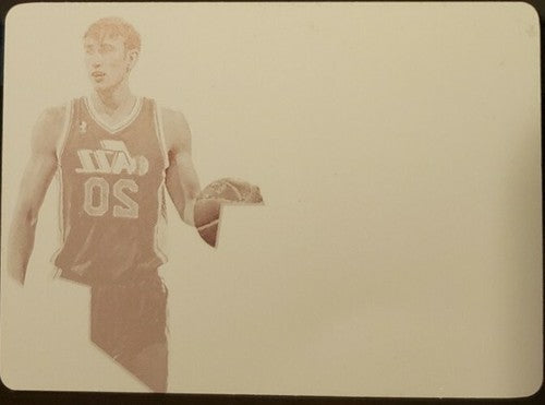 GORDON HAYWARD 2013-14 Spectra Spectacular PRINTING PLATE #1/1 of 1 Jazz Celtics