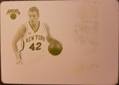 DAVID LEE 2009-10 Playoff National Treasures Colossal PRINTING PLATE #1/1 Knicks