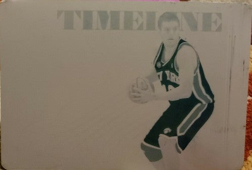 DAVID LEE 2009-10 National Treasures Timeline PRINTING PLATE SP #1/1 of 1 Knicks