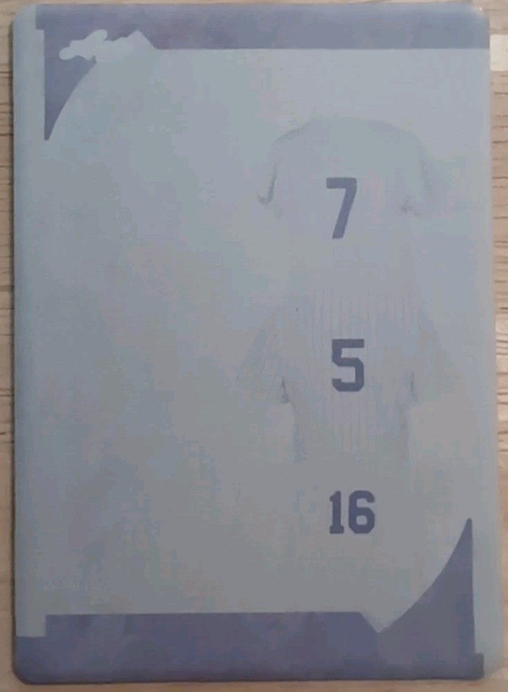 Mickey MANTLE Joe DiMAGGIO Whitey FORD 2022 Game Used TRIPLE PRINTING PLATE #1/1